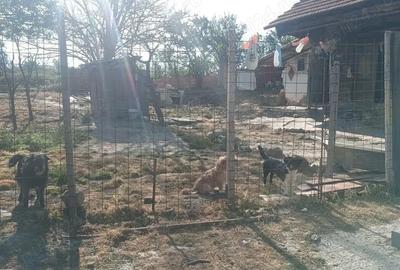 Casă cu 3 camere cu Teren 2476 Mp în Poșta Câlnău - 12