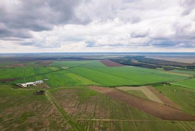 Teren 13500000 mp in Socodor Teren 13500000 mp in Socodor - 10