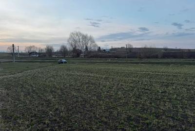 Spațiu comercial, în Pârteștii de Jos - 7