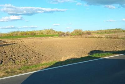 Teren de 5000 mp, în Drânceni - 5