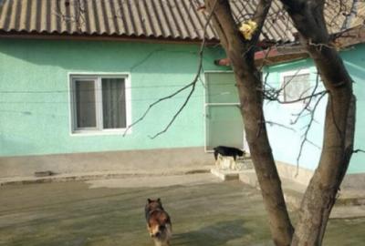 Casă cu 3 camere cu Teren 1500 Mp în Turda - 3