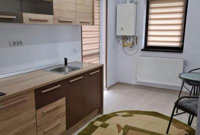 Apartament cu 2 camere semidecomandat în Fălticeni - 7