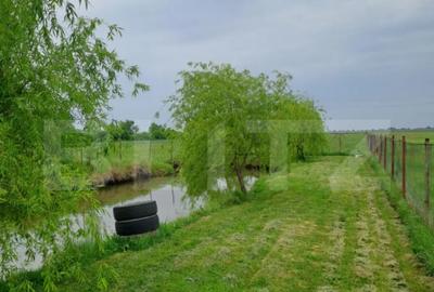 Casă cu 5 camere cu Teren 5585 Mp în Central - 8