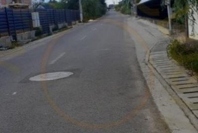 Teren Prunilor, Smeura!