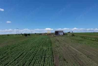 Teren de 36977 mp, în Central - 5