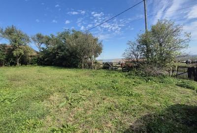 Proprietate cu potential: casa cu teren 938 mp langa Tureni, toate utilitatile Proprietate cu potential: casa cu teren 938 mp langa Tureni, toate utilitatile - 3