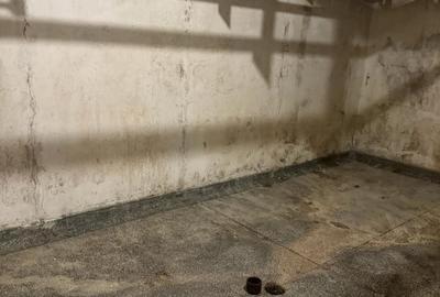 Spațiu comercial, de 380 mp, în Terezian - 8