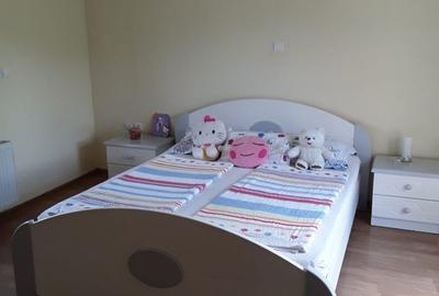 Casă cu 2 camere cu Teren 3500 Mp în Central - 1