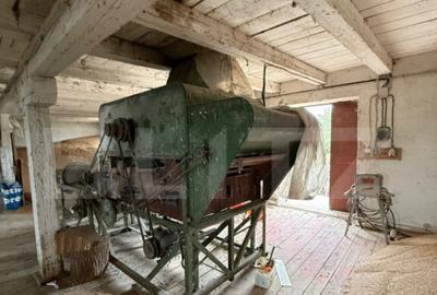 Ferma de Vanzare in judetul Timis, la nord est de Timisoara, - 29