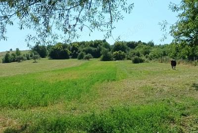 Teren de 3600 mp, în Gura Văii