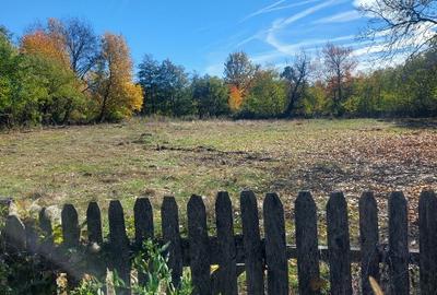 Vând teren 4200mp int și ext. Sat .Romani de Jos.Horezu. - 1