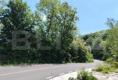 Teren de 4125 mp, în Fieni - 4