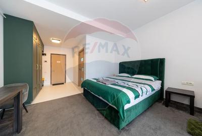 Apartament cu 1 camere decomandat, mobilat în Poiana Brașov - 8