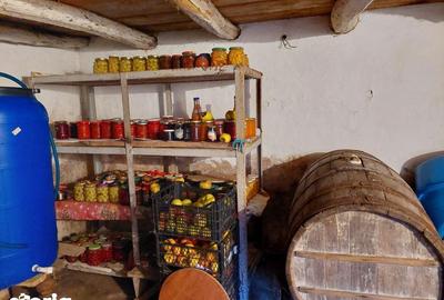 Casă cu 4 camere cu Teren 160 Mp în Osica de Jos - 4