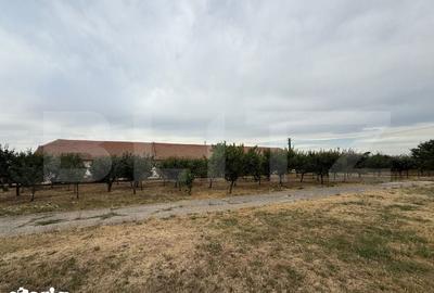 Spațiu comercial, de 7,000 mp, în Șagului - 8