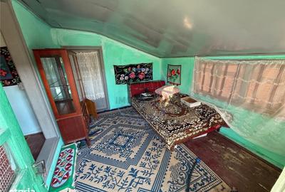 Casă cu 3 camere cu Teren 6856 Mp în Dumitrești - 9