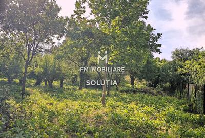 Teren intravilan 10 ari, zona Grigore Ureche, PUZ! - 5