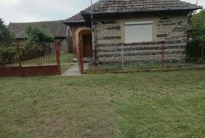 Casă cu 3 camere cu Teren 5000 Mp în Horea - 5