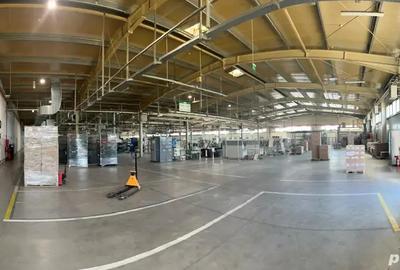 Hala productie 8000 mp - 2