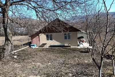 Casă cu Teren 816 Mp în Chiojdu - 4