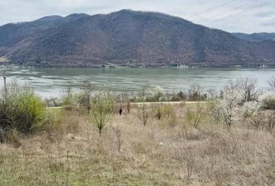 Teren de 6042 mp, în Berzasca - 5