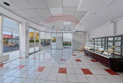 Cladire individuala 243 mp de inchiriat pe strada Mioritei - 11