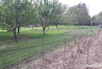 Casă cu 6 camere în Moldoveni - 4