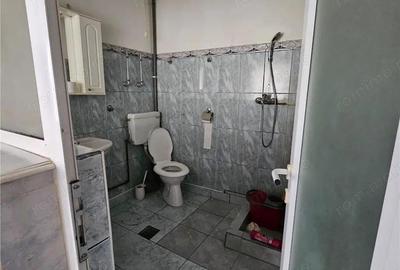 Doua case vecine, cu vad, in Bucure #537;ti, Tineretului, Parcul Carol - 15