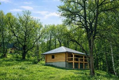 Casă cu 2 camere cu Teren 2957 Mp în Zărnești - 2