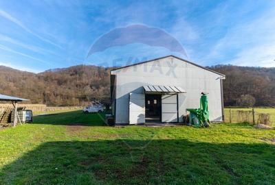 Spațiu industrial, de 650 mp, în Ribița - 3