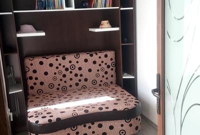 Valea Oltului, garsoniera 43 mp, Brancusi - 3