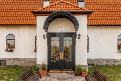 Casă cu 7 camere cu Teren 3000 Mp în Central - 12