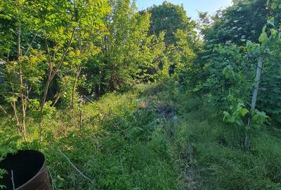 Casă cu 4 camere cu Canalizare în Central - 9