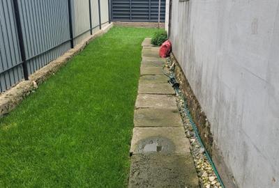 Valu lui Traian -casa 3 camere cu teren 300 mp -gaze la poarta -79900 Euro neg - 31