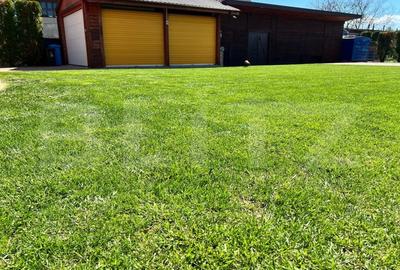 Vila la cheie, zona Odoreu, 2330 mp teren - 15