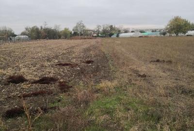 Teren Construcții intravilan de 1500 mp, în Sud - 4