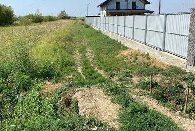 Teren de 9000 mp, în Fețeni - 7