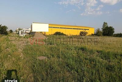 Teren de 11600 mp, în Ghiroda - 3
