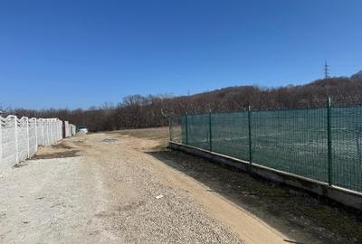Teren Construcții intravilan de 1000 mp, în Central - 4