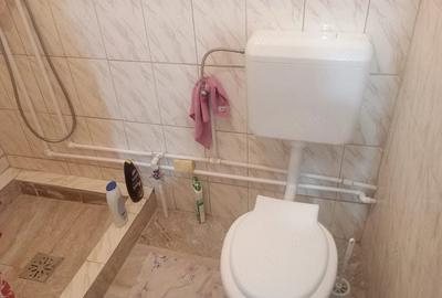 Casă cu 2 camere cu Teren 2000 Mp în Șipote