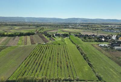 Teren intravilan de 14527 mp, în Aușeu - 5