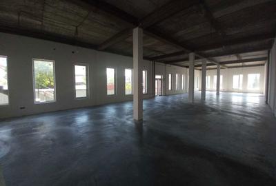 Spațiu comercial, de 460 mp, în Burdujeni - 7