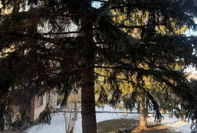 Apartament 2 camere , etaj 1, ȘTRAND . 66 mp2 - 12