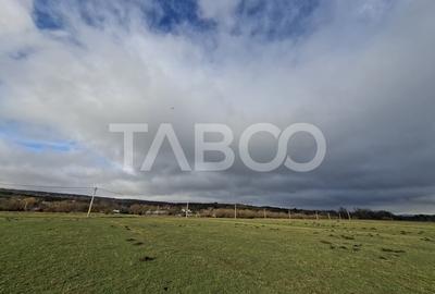 Teren intravilan de vanzare in Rasinari zona Calinis - 890 mp - 4