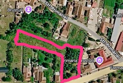 Spațiu comercial, în Brusturi