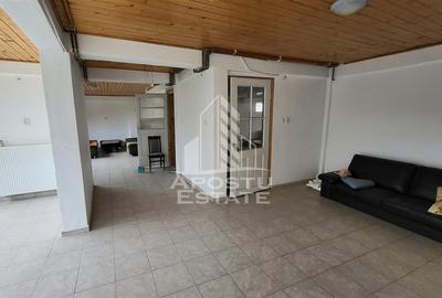 Casa ideala pentru birouri/alte activitati Mehala - 22