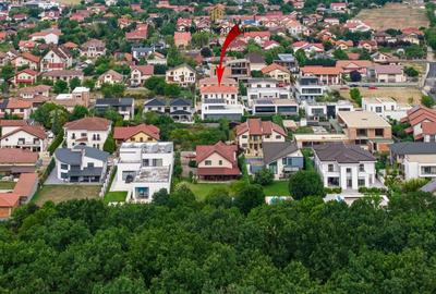 Prima inchiriere - Casa superba de inchiriat, la Padure - Comision 0%