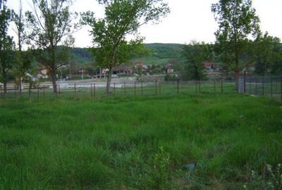 Teren central intravilan constructii intre DealulCapela-Raul Olanesti - 1