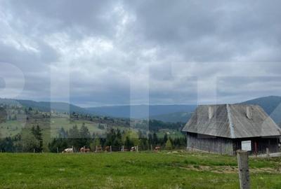 Ocazie! Casa de vacanta cu vedere la Lacul Belis - 7