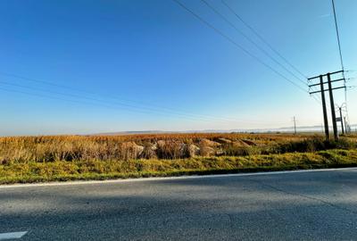 Vanzare teren 10.000mp Calea Surii Mici, direct de la proprietar! - 7